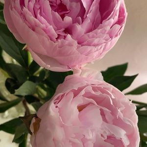 Meet your Posher, Kieve